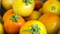 Closeup of fresh and partially ripe Philippine tomatoes for sale at a small market stall