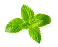 Fresh peppermint leaves isolated on white