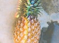 Closeup of fresh pineapple with rainbow prism light