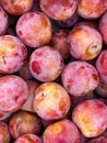 Closeup of fresh plums- perfect for food background Royalty Free Stock Photo