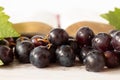Closeup of fresh purple grapes with open Holy golden Bible. Jesus Christ is the true vine