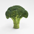 Closeup of fresh real broccoli isolated on white