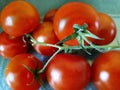 Closeup of fresh red cherry tomatoes