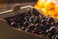 Closeup of fresh ripe cherries in a basket in a market