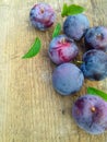 Closeup of fresh ripe plums on a wooden background. Copy space. Fruit background Royalty Free Stock Photo