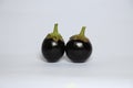 Closeup of fresh ripe round eggplants isolated on a white background Royalty Free Stock Photo