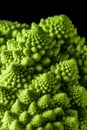 Closeup of fresh romanesco cauliflower