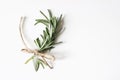 Closeup of fresh rosemary herb branch with craft rope isolated on white table background. Healthy food. Culinary