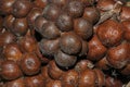 Closeup of fresh Salacca fruit or Zalacca , Salak , Snake fruit.