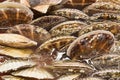 Closeup of fresh scallop sea shell at market Royalty Free Stock Photo