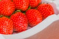 Strawberries in styrofoam container