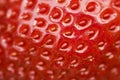 Closeup of fresh strawberry showing seeds. Detailed surface shot Royalty Free Stock Photo