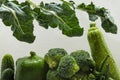 Closeup of row of fresh wet vegetables and green leaves against bright background Royalty Free Stock Photo