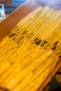 Closeup of fresh yellow bamboo shoots for hot pot Royalty Free Stock Photo