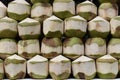 Closeup of fresh young drink coconut on a local street food market chatuchak market in Thailand, Asia