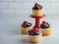 Closeup of fresh yummy chocolate cupcakes with cherry against a grey blurry background