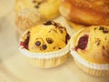 Closeup of freshly baked vanilla cupcakes on a table Royalty Free Stock Photo