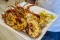 Closeup of freshly grilled lobster tails served with vegetables salad and rise. Royalty Free Stock Photo