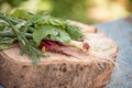 Closeup of freshly harvested vegetables turnips, beetroots, carrots, round marrow.