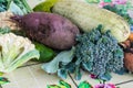 Closeup of freshly harvested vegetables turnips, beetroots, carrots, round marrow, tomatoes, cucumber, zucchini, kidney beans,