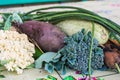 Closeup of freshly harvested vegetables turnips, beetroots, carrots, round marrow, tomatoes, cucumber, zucchini, kidney beans,