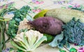 Closeup of freshly harvested vegetables turnips, beetroots, carrots, round marrow, tomatoes, cucumber, zucchini, kidney beans,