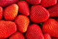 Closeup on a freshly organic red ripe strawberries .Summer ripe berries.Delicious fruit