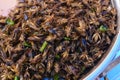 Closeup fried grasshopper on asian street food