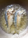 Fried mackerel. thai food