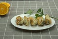 Closeup of fried pot stickers, dumplings. Traditional Asian food on plaid tablecloth Royalty Free Stock Photo