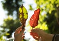 Friends holding leaves