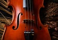 Closeup front side of violin,show design and part of acoustic instrument,vintage and art tone