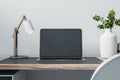 Closeup front view of a home wooden desk with blank screen modern laptop, lamp and homeplant on light wall background in cozy