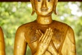 Closeup front view of old and golden Buddha statue in muse action In his standing posture Both hands lifted up. Royalty Free Stock Photo