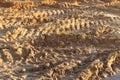 Closeup of frozen tire tracks in mud and grass.