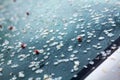 Closeup frozen white petals and blossom of fruit tree on front car window, bad weather, spring early frosts or freezing rain.