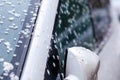 Closeup frozen white petals and blossom of fruit tree on front car window, bad weather, spring early frosts or freezing rain, dirt