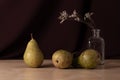 Closeup of fruits on the dark background, still life of pears, and a flower vase Royalty Free Stock Photo