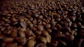 Closeup full hands roasted coffee beans. Agriculturist checking arabica harvest.