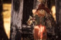 Closeup of a funny garden scarecrow with an orange hat near wooden shed on sunny day Royalty Free Stock Photo