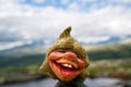 Closeup of Funny Norwegian Troll figure laughing outdoors