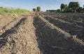 Closeup of furrows in ploughed arable field