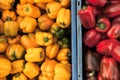 Closeup of fresh yellow capsicum