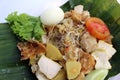 Closeup of gado-gado, Indonesian salad dish Royalty Free Stock Photo