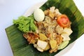 Closeup of gado-gado, Indonesian salad dish Royalty Free Stock Photo