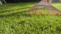 Closeup of garden collecting fallen leaves from grass lawn with garden rakes. Concept of houseworking, gardening and
