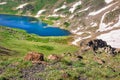 Closeup of Gardner Lake, Beartooth Pass. Peaks of Beartooth Mountains, Shoshone National Forest, Wyoming, USA. Royalty Free Stock Photo