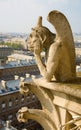 Closeup of gargoyle on the Notre-Dame de Paris Royalty Free Stock Photo