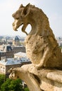 Closeup of gargoyle on the Notre-Dame de Paris Royalty Free Stock Photo