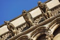 Closeup on church gargoyles